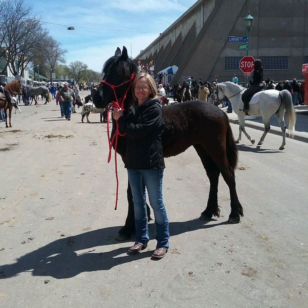 Meet your Posher, Polly